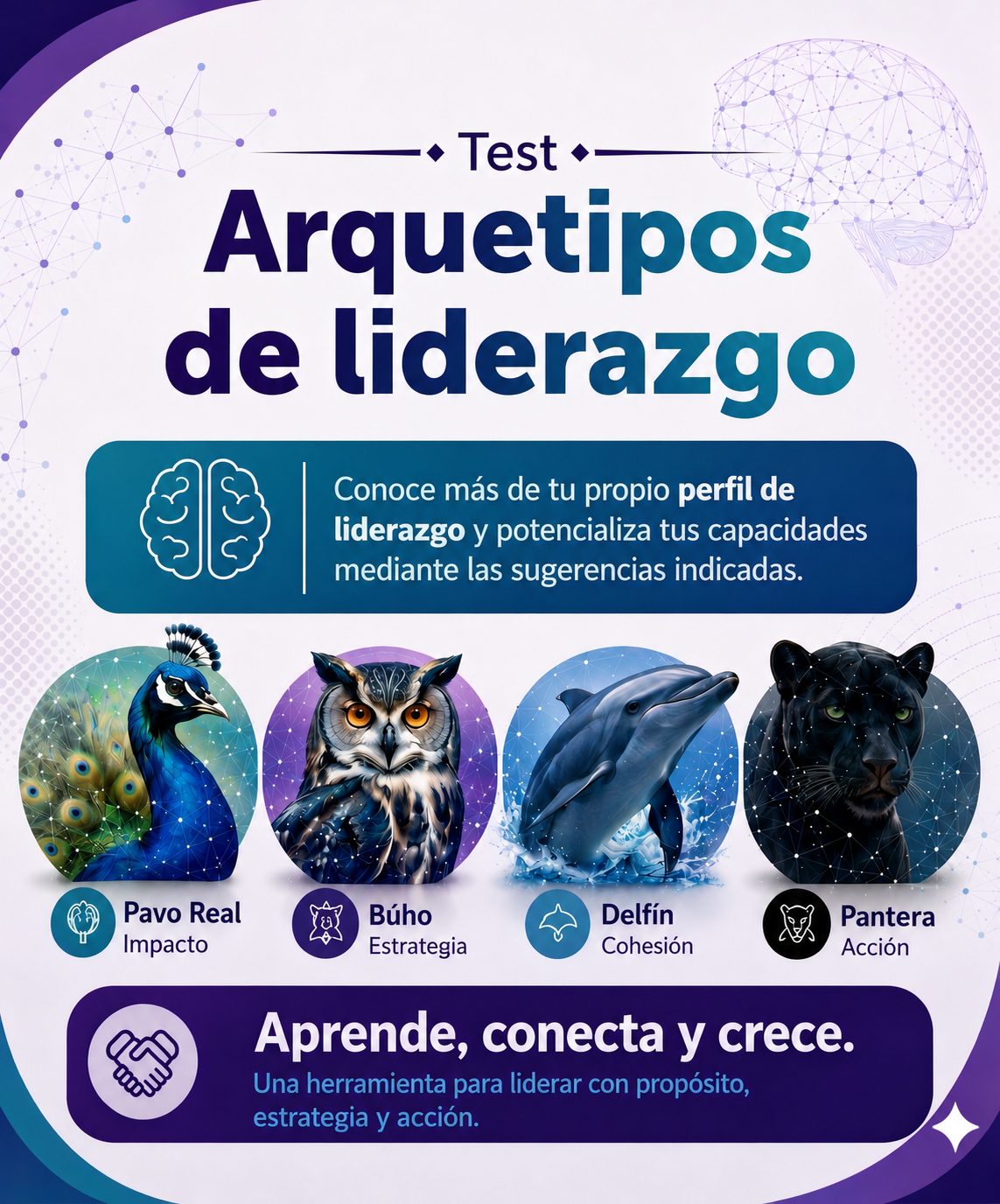Test de Arquetipos de Liderazgo